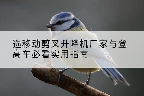 东明电动升降机厂家-选移动剪叉升降机厂家与登高车必看实用指南