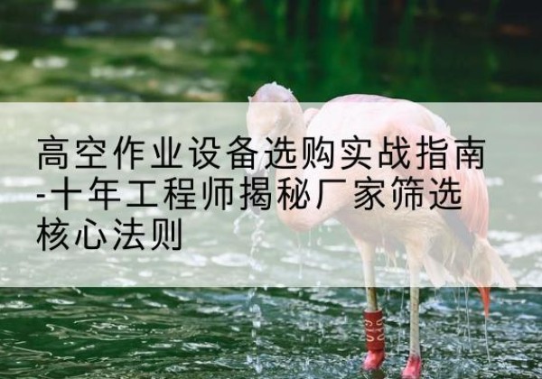 东明剪叉式升降机厂家-高空作业设备选购实战指南-十年工程师揭秘厂家筛选核心法则